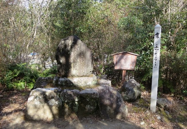 高浜虚子の句碑 