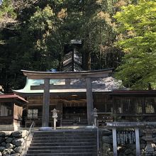 森の中を本殿に向かう階段が素晴らしい