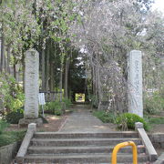 江戸時代の建物がいくつもあります。