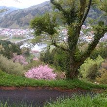 山頂から見た三刀屋川です