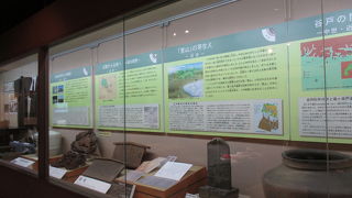 ミニ企画展「狭山丘陵の四季」をやっていました。