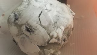 行列のできる豆大福