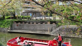 松川遊覧船の桜 2018/4/12（木）