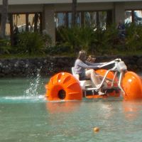 敷地内の人工ラグーンなら波も心配無し