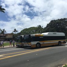 道路に２台駐車して、運転手が世間話していました。