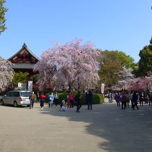 上野恩賜公園に入ると左手先に見えます
