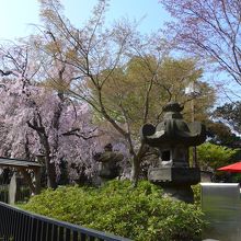 清水観音堂の石塔