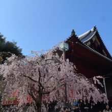 清水観音堂の横からの建物景色