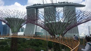 ガーデンズ・バイ・ザ・ベイで空中散歩！スーパーツリーを結ぶ空中遊歩廊
