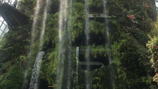 ガーデンズ・バイ・ザ・ベイにある全面ガラス張りのドーム！流れ落ちる滝は圧巻です