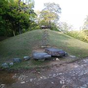 広くて自然豊かな赤塚山公園