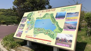 広々とした公園