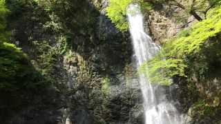 想像以上の迫力！