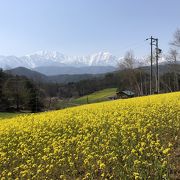 雄大な景色