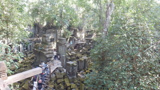 神秘的な雰囲気