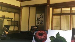 美術館よりステキな展覧会
