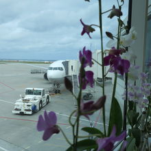 ボーディングブリッジ