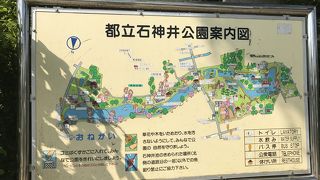 自然溢れる公園