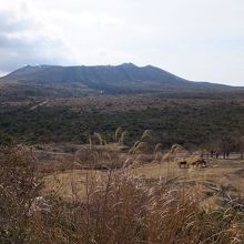 登山口から。三原山の景色。