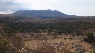 外輪山の高みでカルデラも海も伊豆半島もよく見えます。