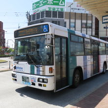 車体はどこでも同じ感じ