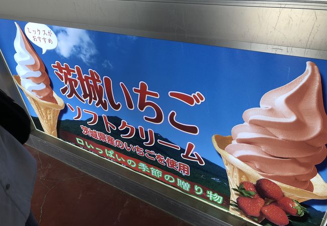 筑波山ロープーウエイを降りて、つつじが丘レストハウスでソフトクリームをいただきました。