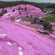 インスタ映え間違いなし！