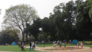 目白通り沿いにあります