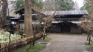 手入れが行き届いた美しい庭