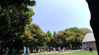 子供もたくさん！