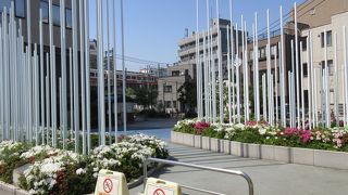 ポールがたくさん立っています