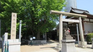 ぼんでんが置かれていました