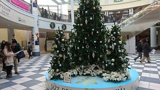 クリスマスの連休はとても混んでいた