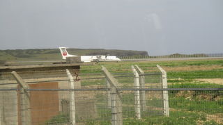 広大な放牧地にヨナグニウマや牛が放牧されていました。