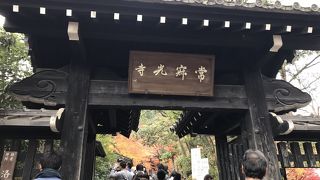 紅葉が広がる素敵なお寺