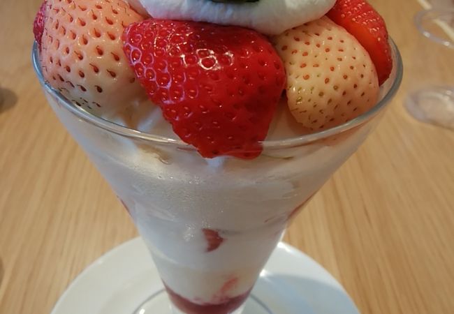 CIALからコレットマーレ2階に移転！