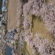 桜の咲く時期にお勧めなスポット