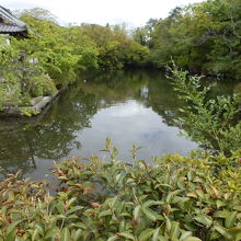 神泉苑内の庭園