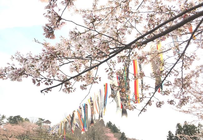 ゆっくりとした時間が流れる公園