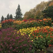 コンスタンス中心からバスで行ける花の島。