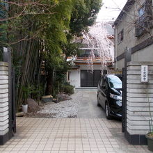 正面の様子です。