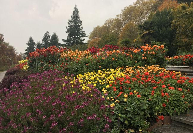 コンスタンス中心からバスで行ける花の島。