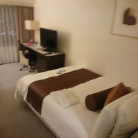 シングルルームでも部屋は広め