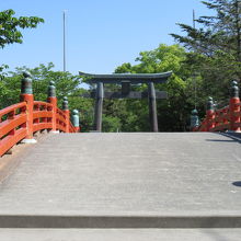 美しい鳥居です