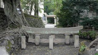 桜島の噴火のすごさがわかる