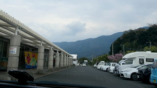 お土産買うのにいい道の駅だ