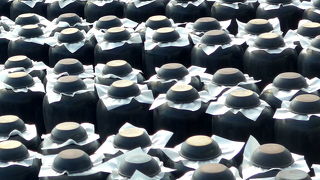 黒酢の歴史を知ることができる，壺が整然と畑のように並んでいる光景はなかなかのもの．