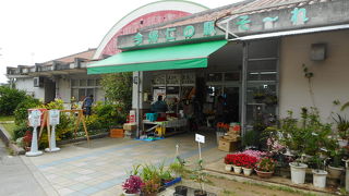 手作りサータアンダキーがお薦め