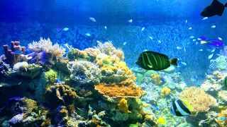 昔から大好きな場所♡