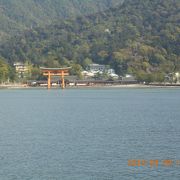 厳島神社の背後から包み込む弥山の木々に感じる神秘